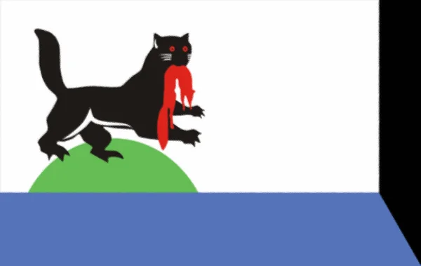 Flag Irkutsk Russia — Stock Photo, Image