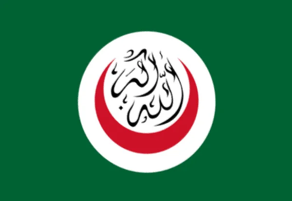 Vlajka Organizace Islámské Konference — Stock fotografie