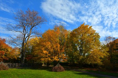 MONTREAL CANADA - 10 19 2022: Alexander Calder heykeli L 'Homme French (