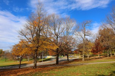 Sonbahar manzarası, Montreal, Quebec bölgesi, Kanada