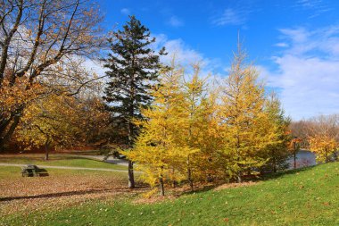 Kuzey Amerika sonbahar manzarası, Montreal, Quebec bölgesi, Kanada