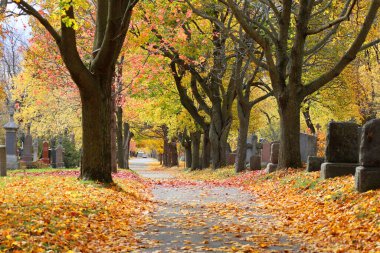MONTREAL CANADA - 10 19 2022: Sonbaharın güneşli bir gününde Notre-Dame-des-Neiges Mezarlığı 'ndaki anıt. Kanada 'daki en büyük mezarlık ve Kuzey Amerika' daki en büyük üçüncü mezarlık.