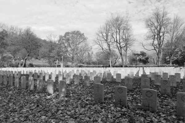 モントリオールケベックカナダ 2022年 ノートルダム ナイジェス墓地のカナダ人兵士の墓は ナイジェス ノートルダム グレイスのボロにある田舎の墓地です — ストック写真