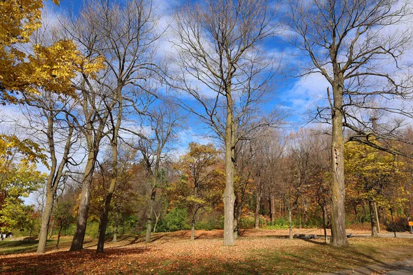 stock image North america fall landscape, Montreal, Quebec province, Canada