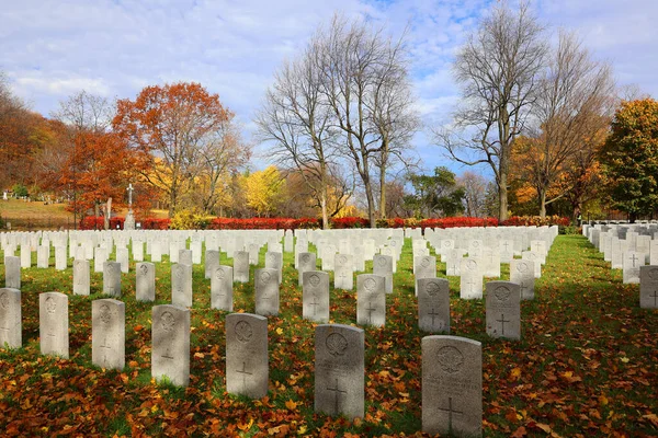 Montreal Quebec Canada 2022 加拿大人士兵坟墓位于圣母院墓地 Notre Dame Des Neiges Cemetery — 图库照片