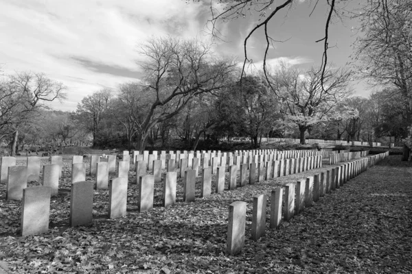 Montreal Quebec Canada 2022 Tombe Dei Soldati Canadesi Nel Cimitero — Foto Stock