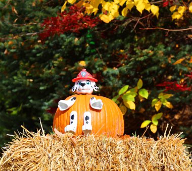 MONTREAL QUEBEC CANADA - 10 19 2022: Cadılar Bayramı komik balkabağı süslemesi Dalmaçyalı Köpek Devriyesi Devriye Köpeği İtfaiyecisi Pati Ateş Köpeği 