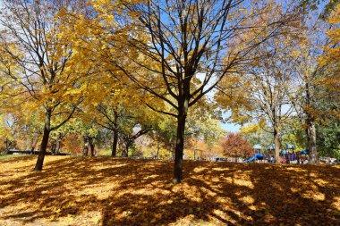 Kuzey Amerika Montreal Quebec eyaleti Kanada 'ya düştü