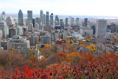 MONTREAL CANADA - 10 19 2022 Montreal şehir merkezinin kuş bakışı görüntüsü. Montreal, Kanada 'nın Quebec eyaletinde yer alan bir şehirdir..