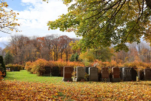 Montreal Canada 2022 Monumentos Cementerio Notre Dame Des Neiges Durante —  Fotos de Stock