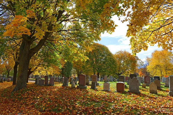 Montreal Canada 2022 Monumentos Notre Dame Des Neiges Cemitério Durante — Fotografia de Stock