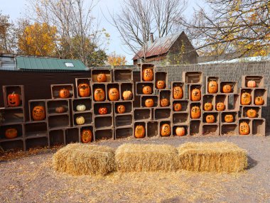 Granby QueBEC Kanada - 10 21 2022 Cadılar Bayramı için komik balkabağı süslemesi