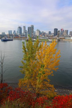 MONTREAL CANADA - 10 19 2022: Montreal şehir merkezi Montreal, Quebec, Kanada.