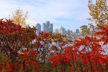 MONTREAL CANADA - 10 19 2022: Montreal şehir merkezi Montreal, Quebec, Kanada.