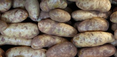 Pazarda taze patates arkaplanı. çiftlik, yemek, kök