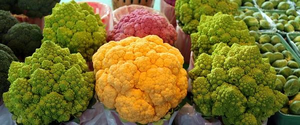 Romanesco Broccoli Roman Cauliflower Orange Cheddar Cauliflower Purple Cauliflower — стокове фото