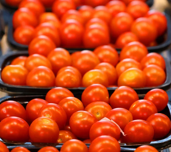 Ντομάτες Κερασιάς Στην Αγορά Jean Talon Είναι Μια Αγροτική Αγορά — Φωτογραφία Αρχείου