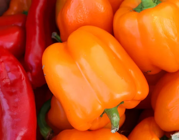 Fresh organic bell peppers capsicum on display for sale at local farmer\'s market departmental store.