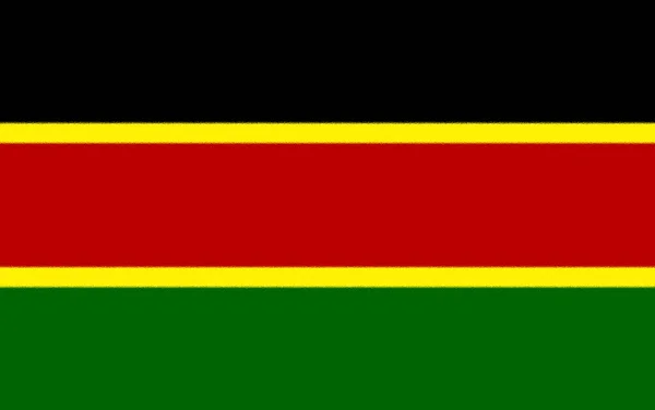 Krásná Vlajka Panafrikánu — Stock fotografie