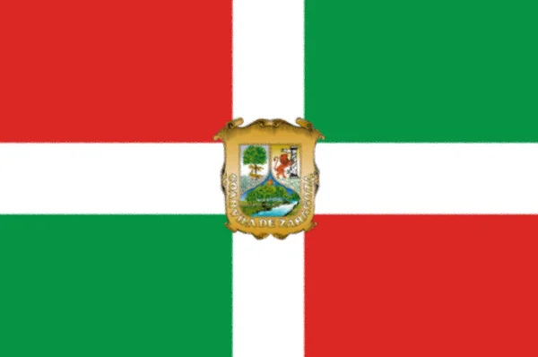 Coahuila Államra Vonatkozó Zászlójavaslat — Stock Fotó