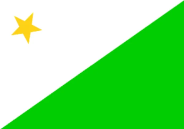 Bhutáni Néppárt Zászlaja — Stock Fotó