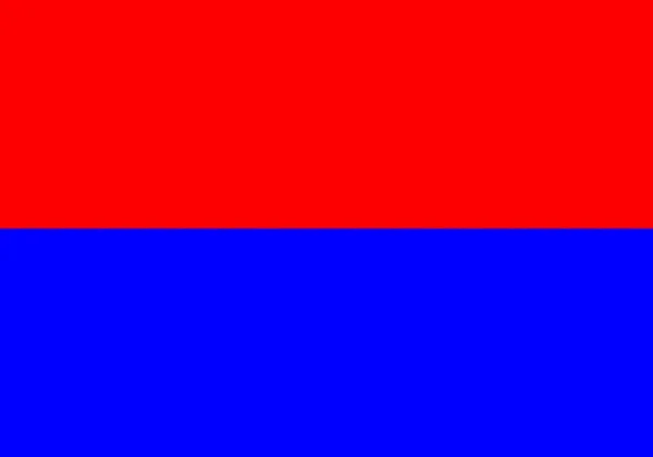 Flagge Der Demokratischen Sozialistischen Partei Prabodh Chandra — Stockfoto