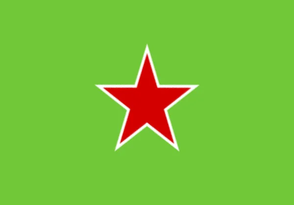 Népszerű Egységes Fellépési Mozgalom Zászlaja — Stock Fotó