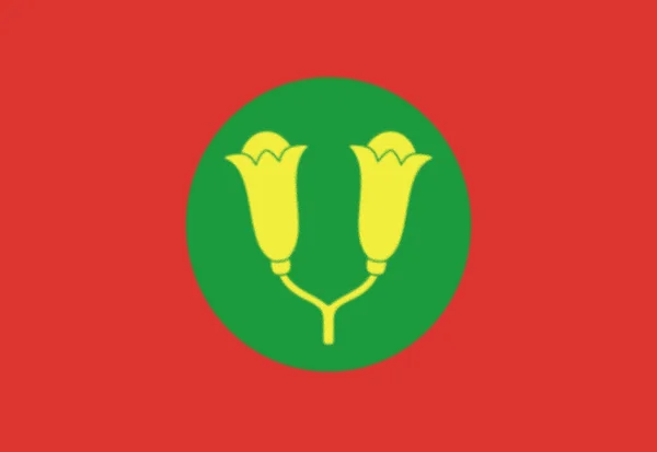 Флаг Занзибарского Султаната Независимые 1856 1885 1963 1964 Годы — стоковое фото