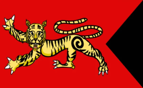Флаг Империи Чола — стоковое фото