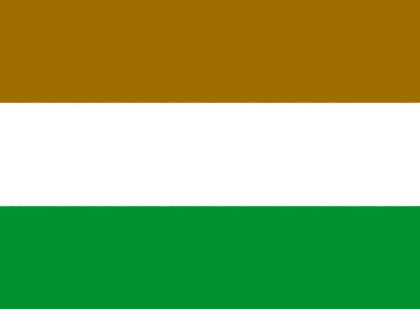 Transkei Lippu Riippumaton 1976 1994 Etelä Afrikan Tunnustama — kuvapankkivalokuva