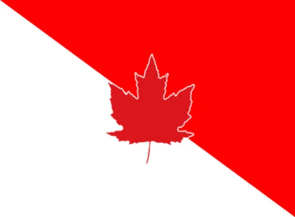 Kanadai Őslakos Fiak Által Népszerűsített Zászló — Stock Fotó
