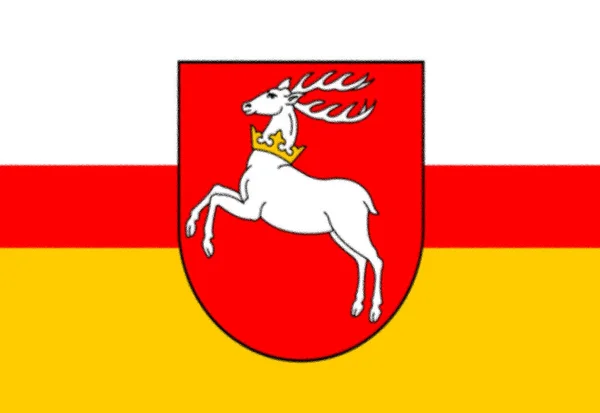 Flag Lublin Voivodeship Poland — Stock Photo, Image