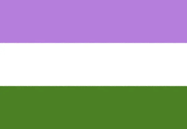 Genderqueer Pride Bela Bandeira — Fotografia de Stock