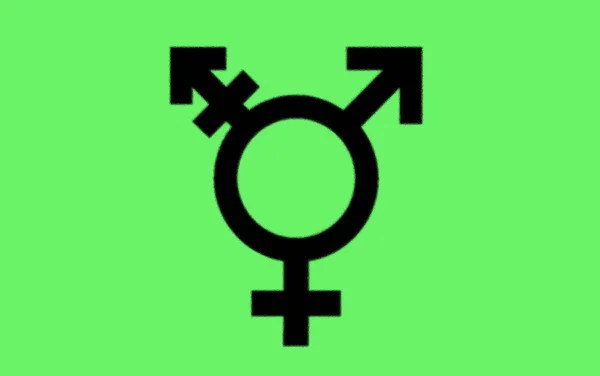 以色列跨性别自豪旗 — 图库照片
