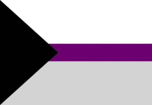 Bandeira Demisexual Separada Proposta — Fotografia de Stock