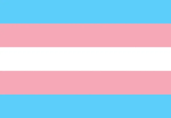跨性别自豪美丽的旗帜 — 图库照片