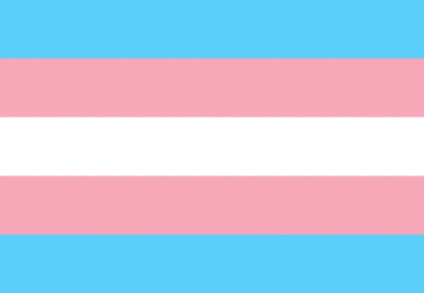 Transgender Pride Beautiful flag