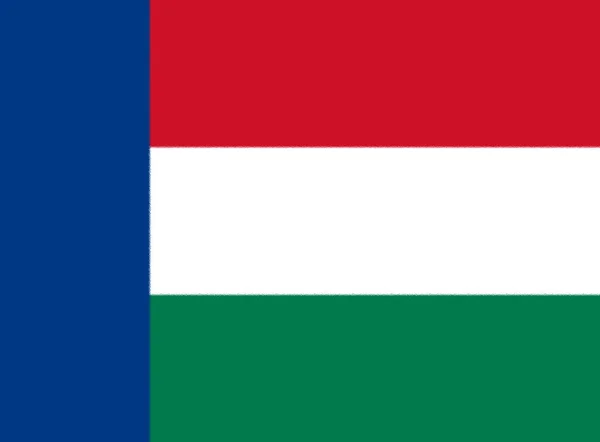 Bandiera Nieuwe Republiek Nuova Repubblica Era Una Piccola Repubblica Boera — Foto Stock