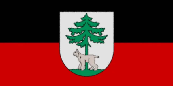 Flag Jekabpils Municipality Latvia — Stock Photo, Image