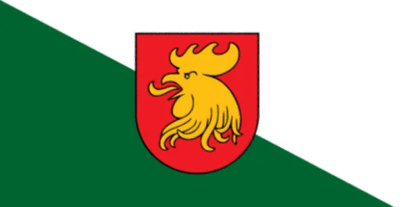 Bandeira Município Madona Letónia — Fotografia de Stock