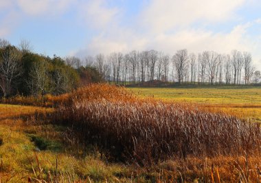 Kuzey Amerika doğudaki Bromont, Quebec vilayeti, Kanada