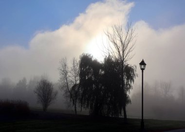 Kasım 'ın doğusundaki Bromont, Quebec, Kanada' da sonbahar sisli günü