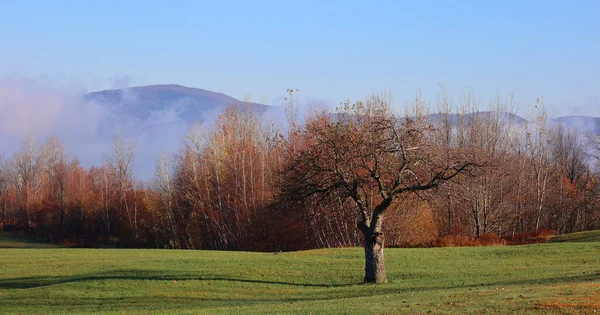 Stock image North america fall landscape eastern township, Bromont, Quebec province, Canada