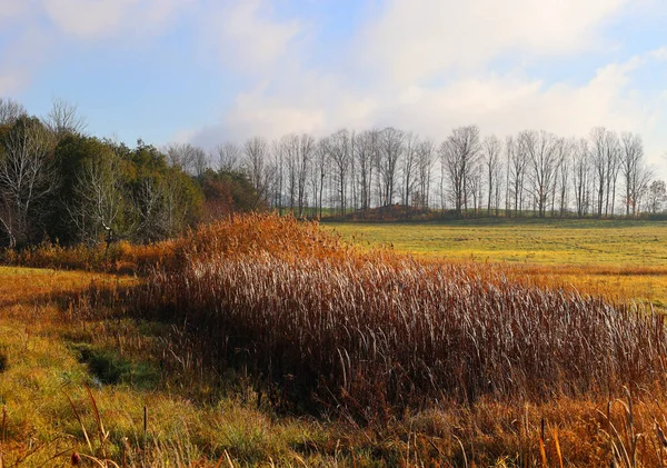 stock image North america fall landscape eastern township, Bromont, Quebec province, Canada