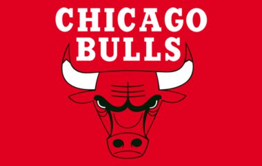 Logotype of Chicago Bulls basketball sports team