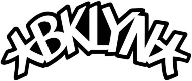 Logotype of Brooklyn Nets basketball sports team
