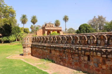 DELHI INDIA - 02 11 2023: Lodi Gardens, Yeni Delhi, Hindistan 'da bulunan bir şehir parkı. İçinde Mohammed Shah 'ın mezarı, Sikandar Lodi' nin mezarı, Shisha Gumbad ve Bara Gumbad var.