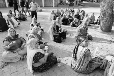 DELHI INDIA - 02 12 2023: Yeni Delhi parkında poz veren Hintli kadın portresi