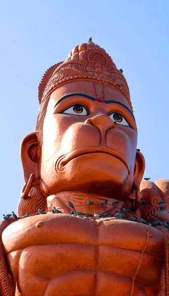Índia Rural 2023 Hanuman Deus Hindu Companheiro Divino Vanara Deus — Fotografia de Stock