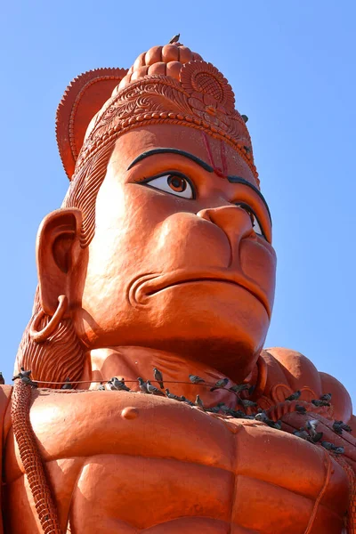 India Czerwona 2023 Hanuman Jest Hinduskim Bogiem Boskim Towarzyszem Wanary — Zdjęcie stockowe